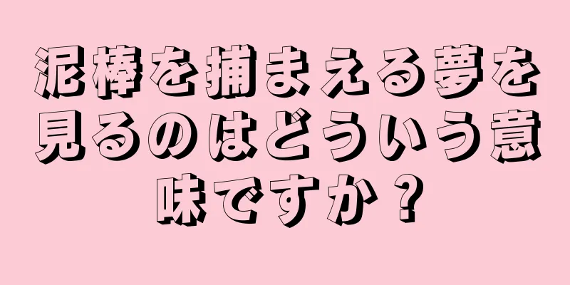 泥棒を捕まえる夢を見るのはどういう意味ですか？