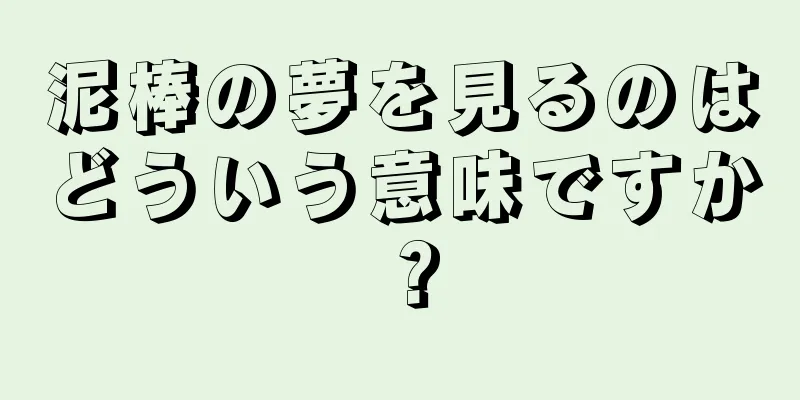 泥棒の夢を見るのはどういう意味ですか？
