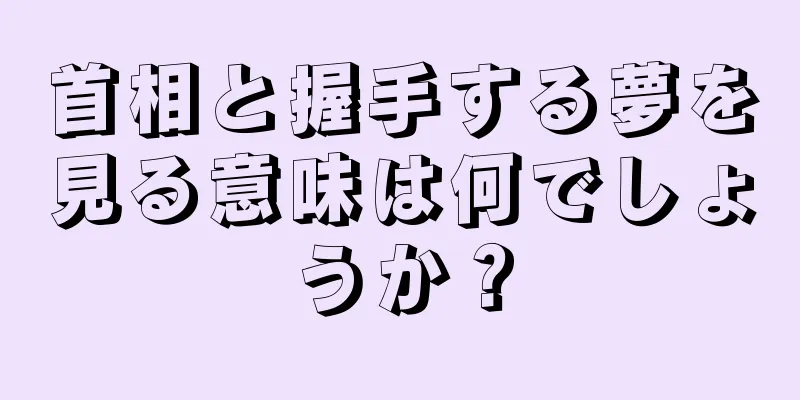 首相と握手する夢を見る意味は何でしょうか？
