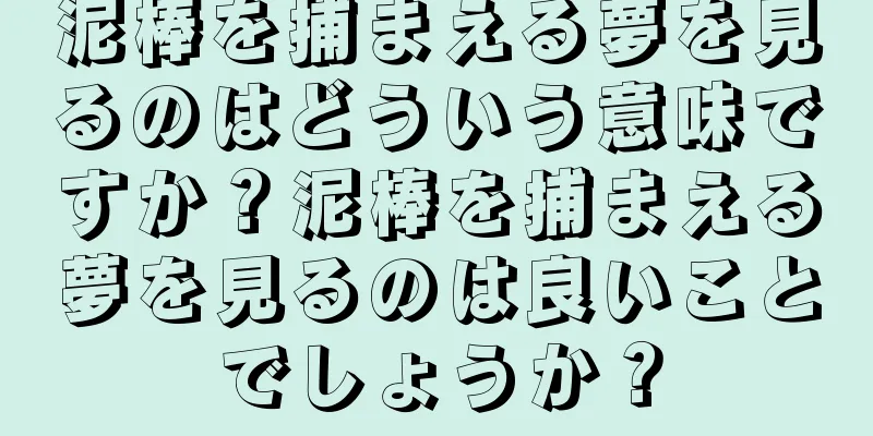 泥棒を捕まえる夢を見るのはどういう意味ですか？泥棒を捕まえる夢を見るのは良いことでしょうか？