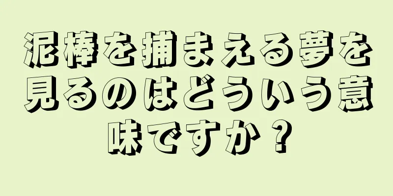 泥棒を捕まえる夢を見るのはどういう意味ですか？