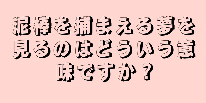 泥棒を捕まえる夢を見るのはどういう意味ですか？