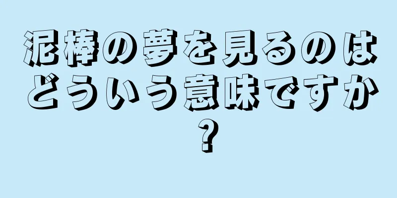 泥棒の夢を見るのはどういう意味ですか？