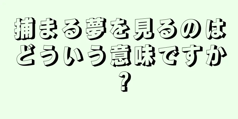 捕まる夢を見るのはどういう意味ですか？