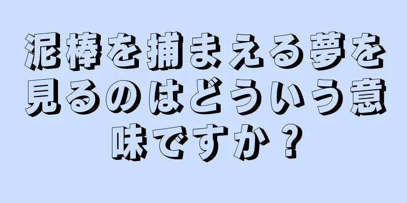 泥棒を捕まえる夢を見るのはどういう意味ですか？