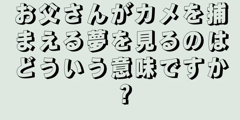 お父さんがカメを捕まえる夢を見るのはどういう意味ですか？