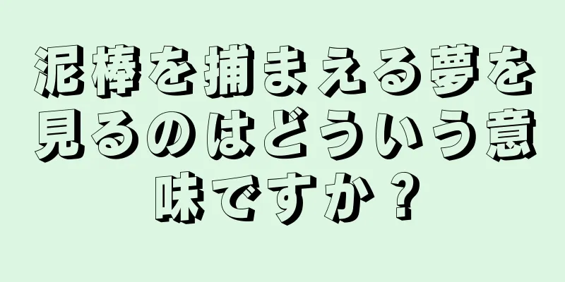 泥棒を捕まえる夢を見るのはどういう意味ですか？