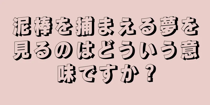 泥棒を捕まえる夢を見るのはどういう意味ですか？