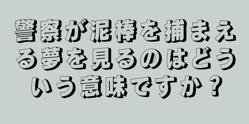 警察が泥棒を捕まえる夢を見るのはどういう意味ですか？