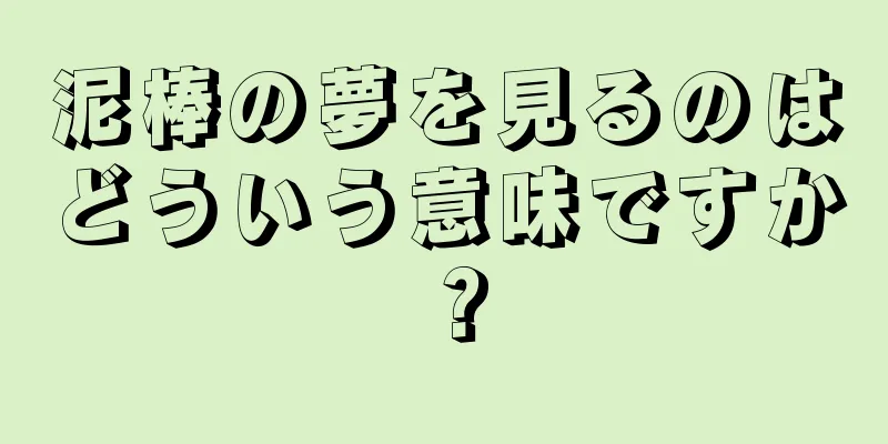 泥棒の夢を見るのはどういう意味ですか？