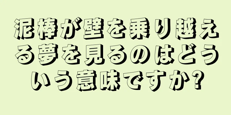 泥棒が壁を乗り越える夢を見るのはどういう意味ですか?