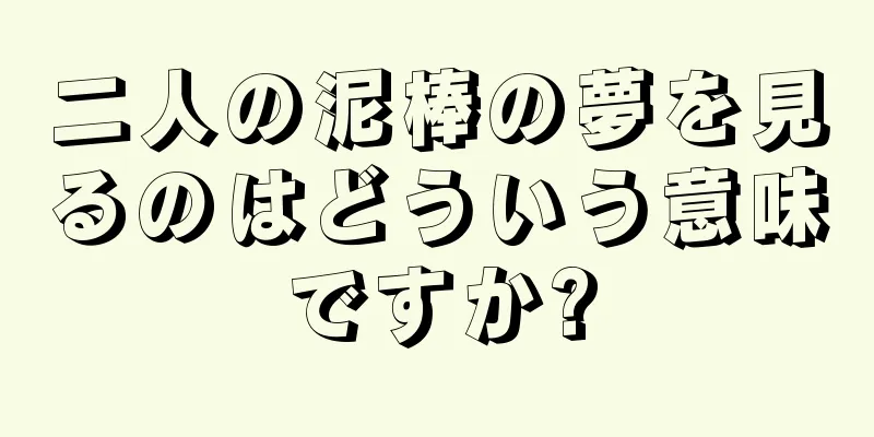 二人の泥棒の夢を見るのはどういう意味ですか?