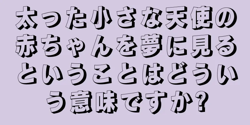 太った小さな天使の赤ちゃんを夢に見るということはどういう意味ですか?