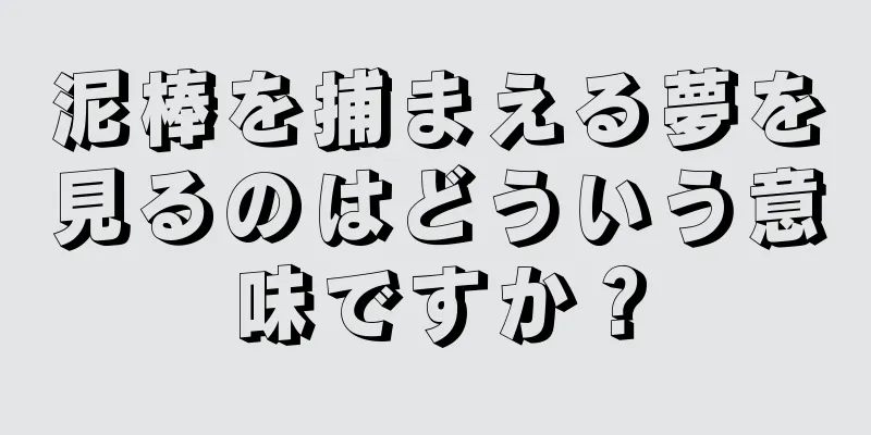 泥棒を捕まえる夢を見るのはどういう意味ですか？