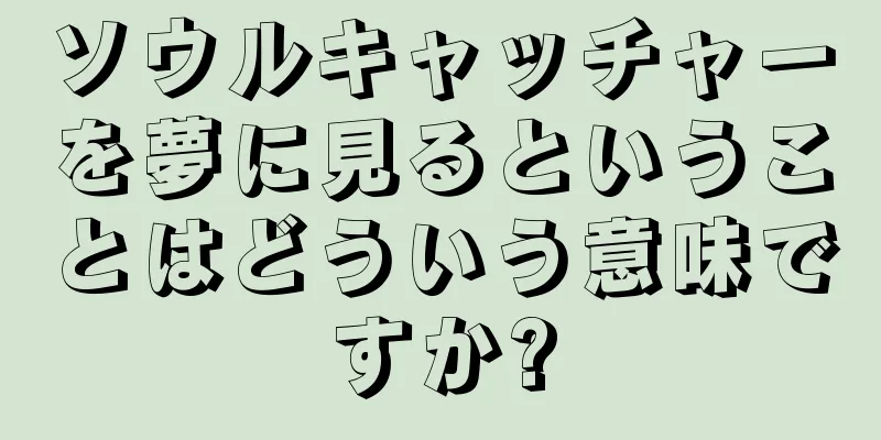 ソウルキャッチャーを夢に見るということはどういう意味ですか?