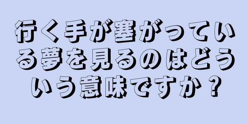 行く手が塞がっている夢を見るのはどういう意味ですか？
