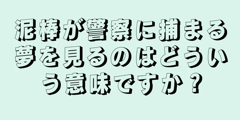 泥棒が警察に捕まる夢を見るのはどういう意味ですか？