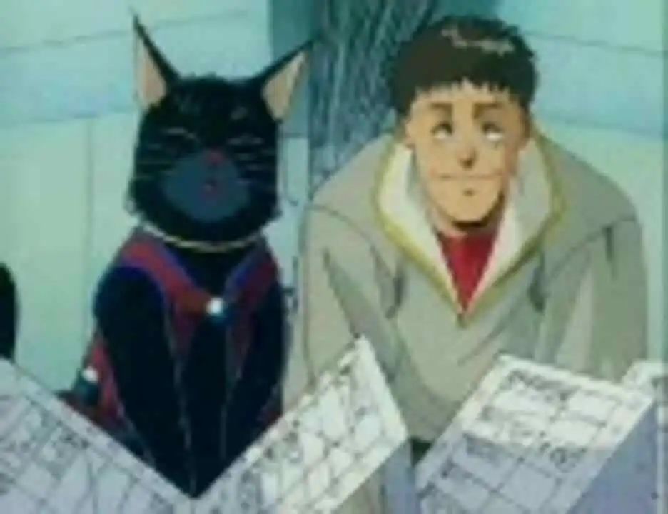 《敵人是海盜：貓咪盛宴》的魅力與評價：貓奴必看動畫