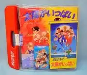 《陽光燦爛》的魅力與評價：一部必看動畫