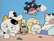 《三街上的塔瑪，你認識我的塔瑪嗎？ 》的吸引力和評論