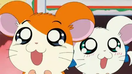 哈姆太郎：治癒與冒險倉鼠故事的全面評析