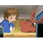 《數碼寶貝馴獸師》的魅力與評價：一部感人至深的冒險故事，融合了寫實的世界觀與深刻的劇情。