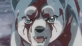 《銀牙傳說WEED》的魅力與評價:感人的故事與深刻的人物刻畫