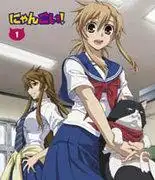 《喵喵！ 》的魅力與評價：貓耳與青春的和諧