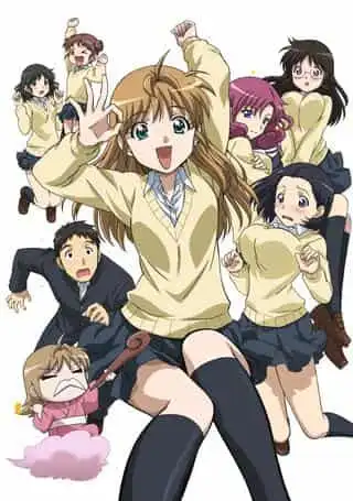 B型H系統：對一個引人入勝、意義深遠的故事的深入分析