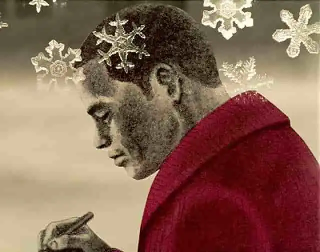 《詩人的生活》書評：一個感人的故事及其魅力