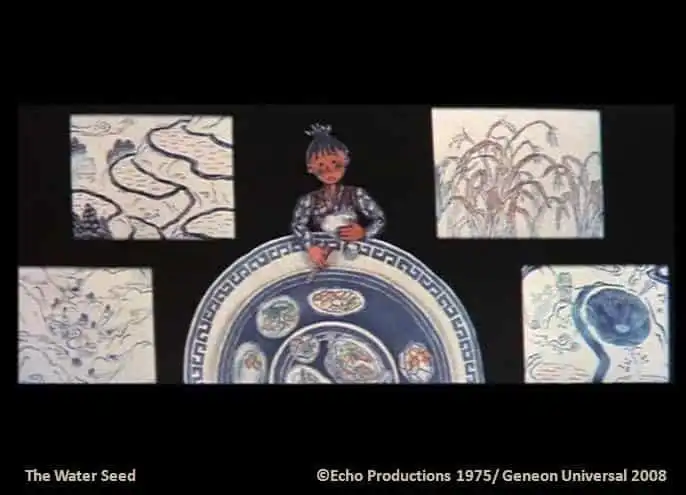 《水之種》的魅力與評價:感人故事與精美畫面的詳細解讀