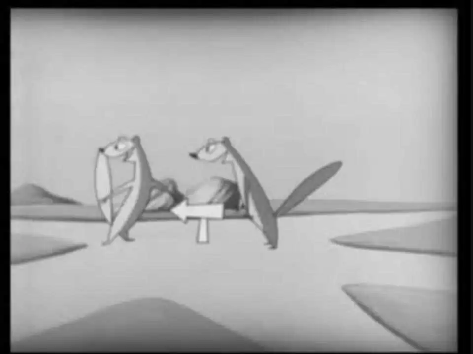 《五萬種動物系列》的魅力與評價：動漫迷必看之作