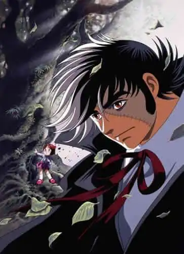 黑傑克卡牌VIII：綠色情懷－對感人故事與深刻主題的深入分析