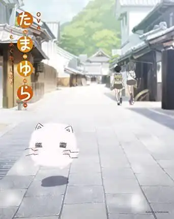 OVA《玉響：更激進》的吸引力與評價