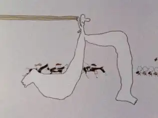 《長那山與早那山》的訴求與評價：深入探討大家之歌的傑作