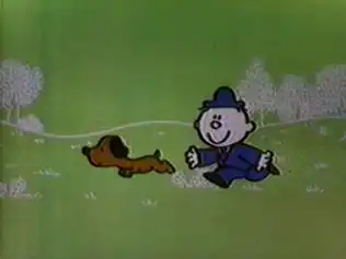 《我的普魯》評論：大家的歌有什麼魅力？