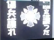 《森林醫生與白大褂戰士》:魅力十足的角色與感人至深的故事