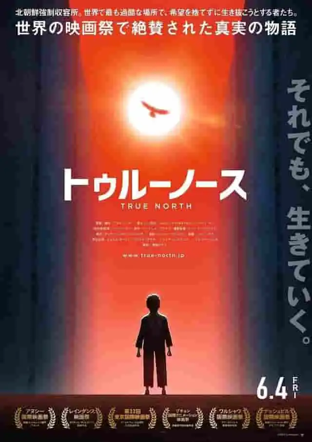 《真北》的魅力與評價：感人至深的故事與深刻的人物刻畫。